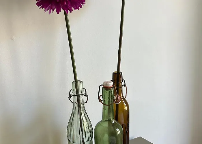 Maison Paulette - Charme Et Authenticite Bizanet